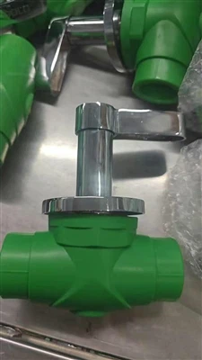 PPR Chrome Valve